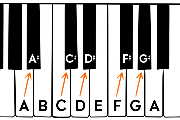 Graphic of a piano keyboard with an octave chromatic with sharps
