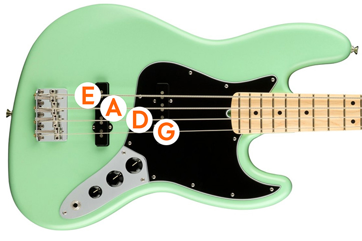 Picture of the body of a bass with the chords marked with E A D G