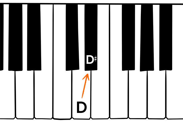 Graphic of a blank piano keyboard with the D# note marked