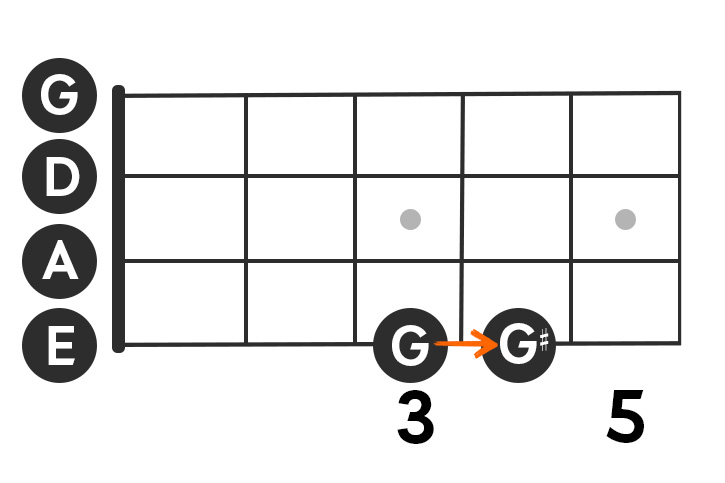 Image showing the G and G sharp notes on a bass