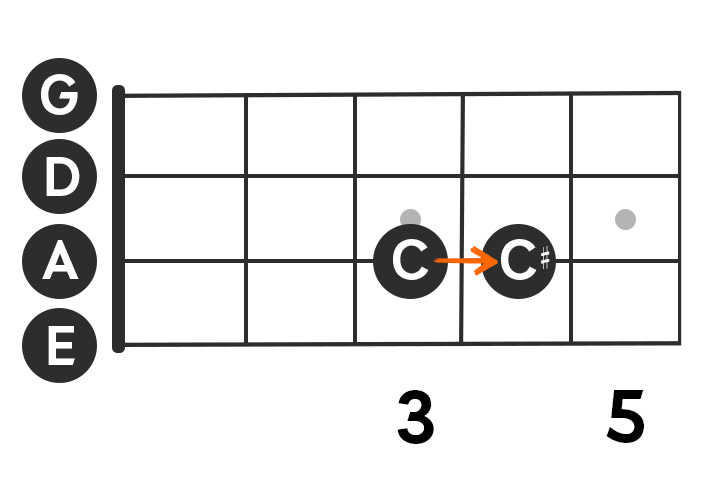 Image showing the C and C# notes on a bass